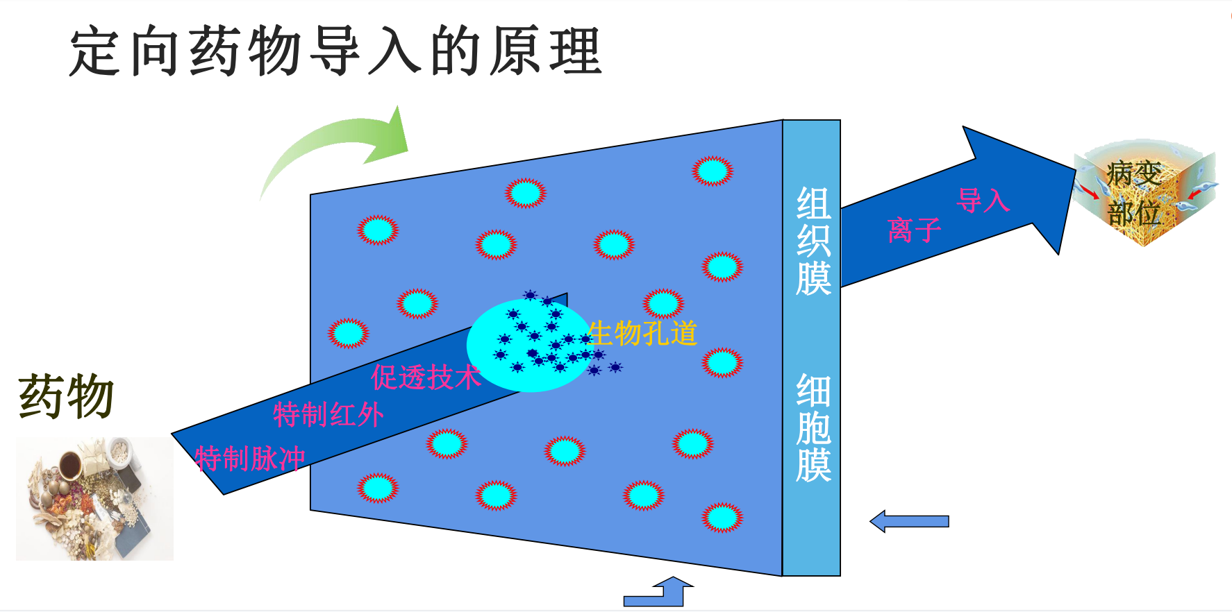 中医定向透药治疗仪.png