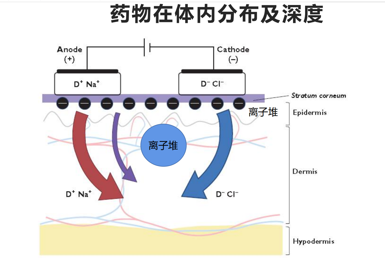 中医定向透药治疗仪.png