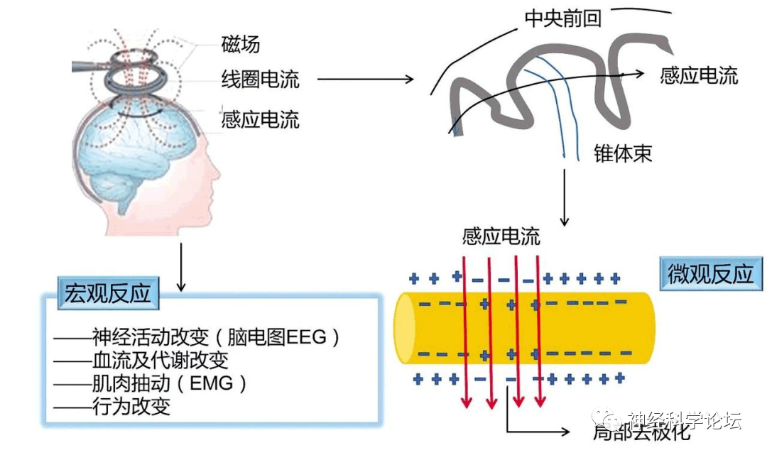 微信图片_20220408174621.png